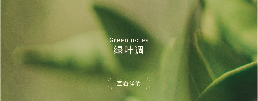 绿叶调